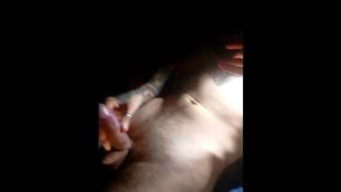 di_quodnone @ bongacams on 20251104