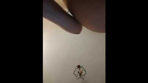 fortune___888 @ bongacams on 20251104