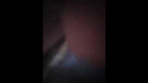 sashalena728 @ bongacams on 20251104