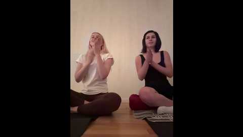 vibromashulkadashulka @ bongacams on 20251105