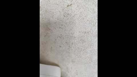 angelia22 @ bongacams on 20251106