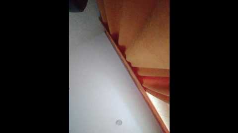 anna_ya @ bongacams on 20251106