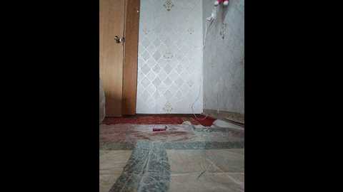 heavenly_wings @ bongacams on 20251107