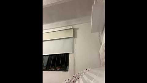 sallyeleins @ bongacams on 20251107