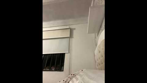 sallyeleins @ bongacams on 20251107