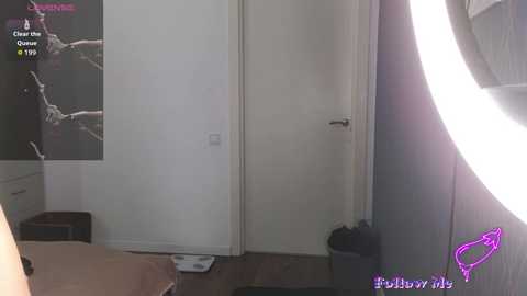 _wowfox_ @ bongacams on 20251108