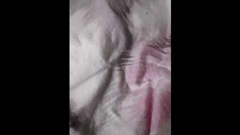 katya9194oleg @ bongacams on 20251108