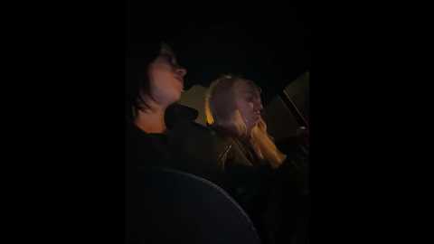 vibromashulkadashulka @ bongacams on 20251108