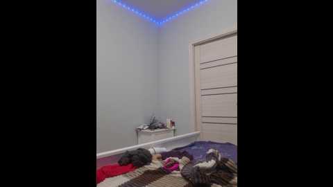 chelsi16 @ bongacams on 20251109