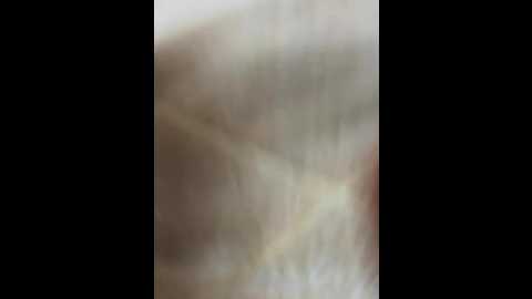 assshake011 @ bongacams on 20251110