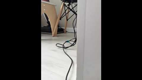 sweetyuangel @ bongacams on 20251110