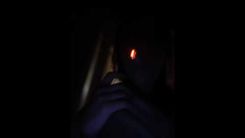 totodasha @ bongacams on 20251111