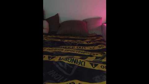 plohishi2 @ bongacams on 20251112