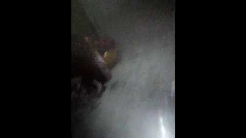 sashalena728 @ bongacams on 20251112