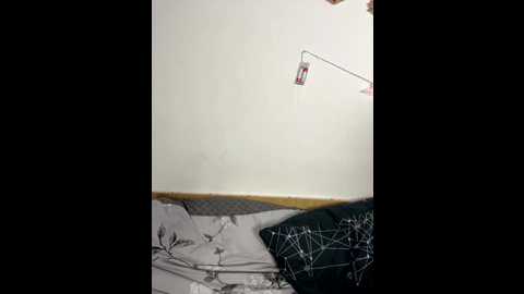 alissalexx @ bongacams on 20251113