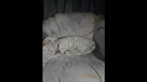 kelseyy @ bongacams on 20251113