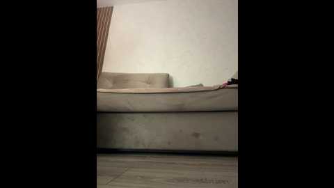 alliina_leee @ bongacams on 20251114