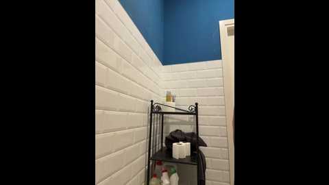 nikkysecrets @ bongacams on 20251114