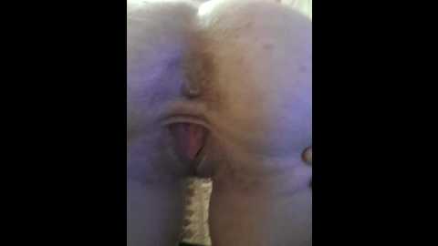 axel_20x @ bongacams on 20251115