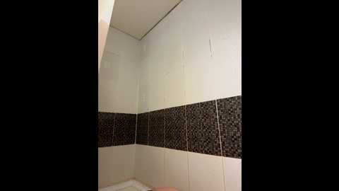 hothoneybabe @ bongacams on 20251116