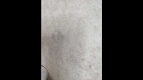 angelia22 @ bongacams on 20251117