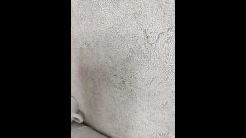 angelia22 @ bongacams on 20251117