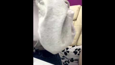 vikaandmilana @ bongacams on 20251117