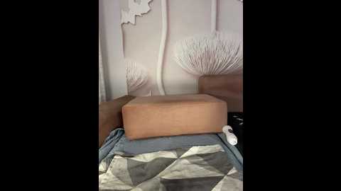 anyuta1212 @ bongacams on 20251118