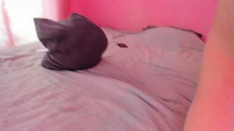 couple_tats @ bongacams on 20251118