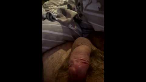 flora8845 @ bongacams on 20251119