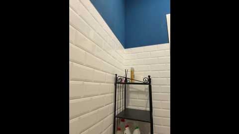 nikkysecrets @ bongacams on 20251119