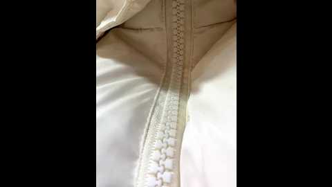 _vikkil0vescheese_ @ bongacams on 20251120