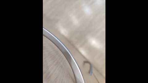 angelia22 @ bongacams on 20251120