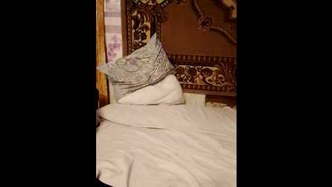 sunandstar @ bongacams on 20251120