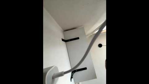 daddyyyc @ bongacams on 20251121