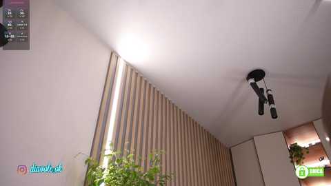 kateline @ bongacams on 20251121