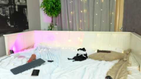 nicolehampton @ bongacams on 20251122