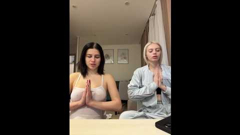 vibromashulkadashulka @ bongacams on 20251122