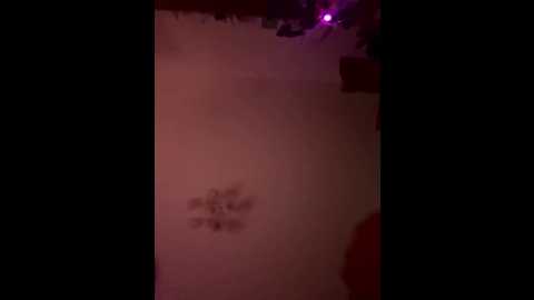 vip17coupledream @ bongacams on 20251122