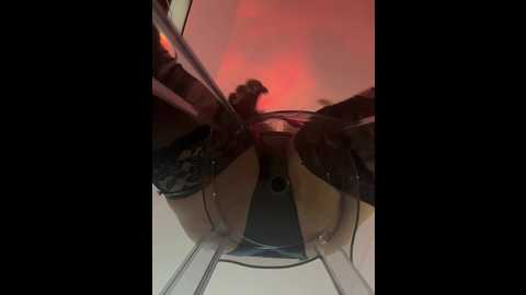 littledelora @ bongacams on 20251123