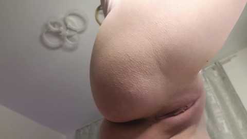 eva__queen @ bongacams on 20251124