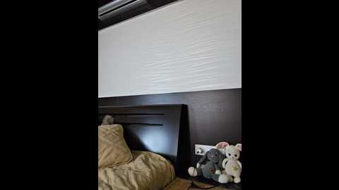 hairycrotch @ bongacams on 20251124