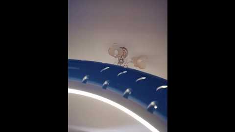 her_girl @ bongacams on 20251124