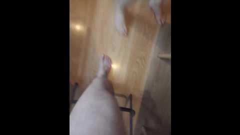 pechalka @ bongacams on 20251124