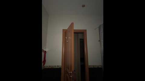 sssdaryasss @ bongacams on 20251124