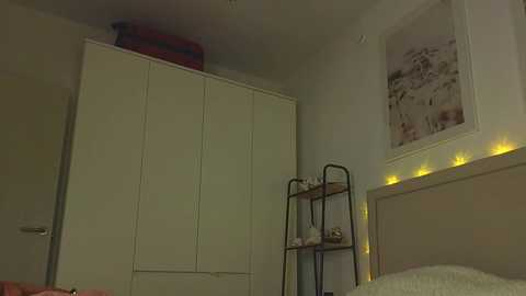 lili_roze @ bongacams on 20251125