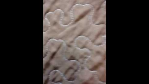 loveorbit @ bongacams on 20251126