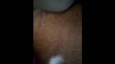 loveorbit @ bongacams on 20251126