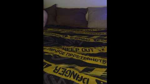 plohishi2 @ bongacams on 20251126