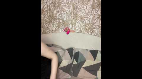 sweet1sleep @ bongacams on 20251126